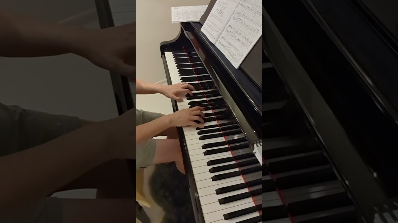 Theme from symphony No.6 (1st movement) by Tchaikovsky/ Alfred's piano course level one