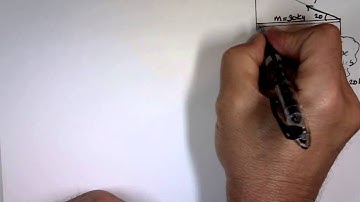 Zero-Torque and Static Equilibrium