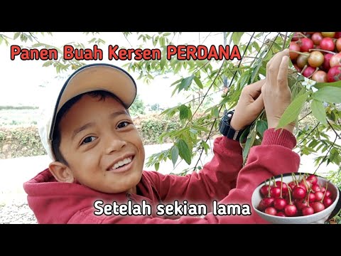 #AGoodStart - Azzah Fariha and husband Alif Abdullah