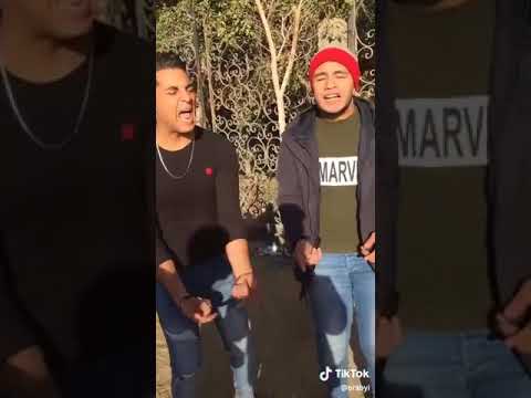 أغنية الشرع محللى أربعة