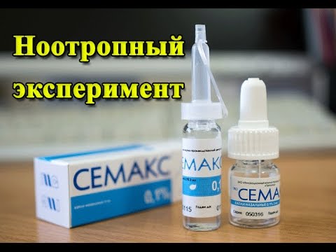 Ноотропный эксперимент с СЕМАКСОМ. Стал ли я умнее?