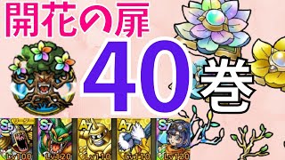 【ドラクエタクト】開花の扉 第40巻 毒殺クリア【#ドラクエタクト​/#ドラゴンクエストタクト​/#DQTact​/#DQT/#DQタクト】