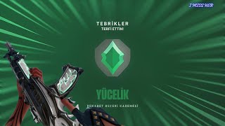 The \