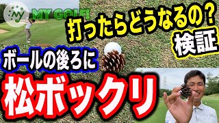 【ゴルフ 検証】ボールの後ろに松ボックリがあったら？プロゴルファー2人がコースで検証！