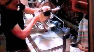America's funniest home videos - AFV