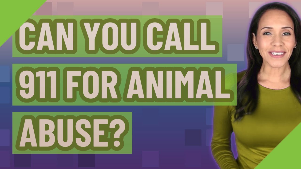 Can you call 911 for animal abuse? YouTube