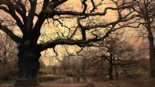 Licht erlischt... - The Sound of Cast Iron