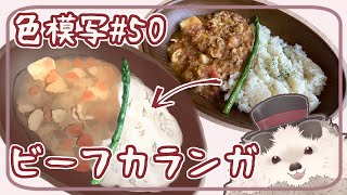 【一緒に朝活】色模写の火曜日＃５０【ゆる～くお絵描き】