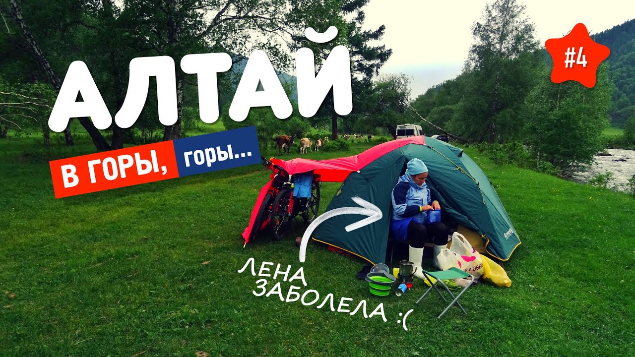 🌄  НАПАЛИ КОРОВЫ 4. Поход в горы ШЕБАЛИНО. АЛТАЙ.
