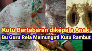 IBU GURU MENCARI KUTU