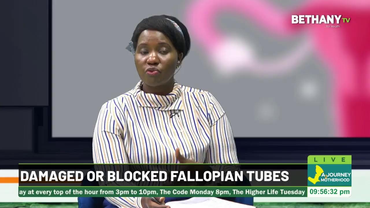 Damaged or Blocked Fallopian Tubes Causes, Symptoms, Treatments  |  A journey To Motherhood