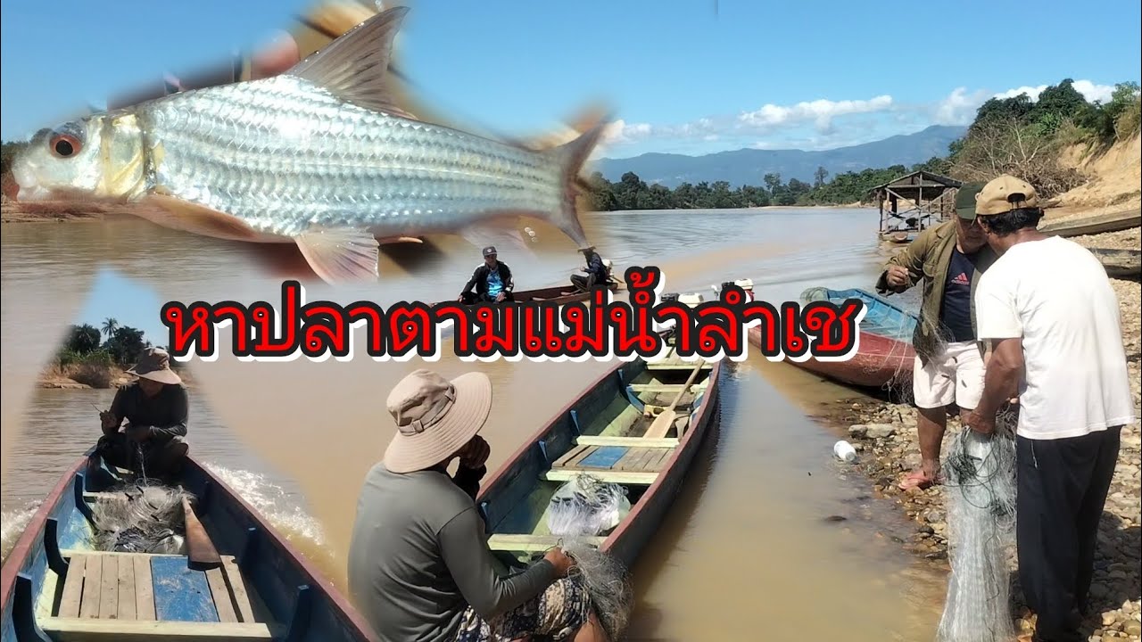 หาปลาตามแม่น้ำลำเช/ຫາປາຕາມແມ່ນ້ຳລຳເຊ