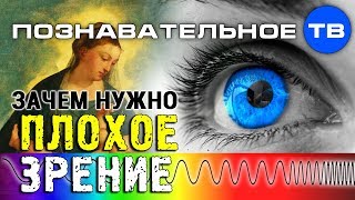 Зачем нужно плохое зрение? (Познавательное ТВ, Артём Войтенков)