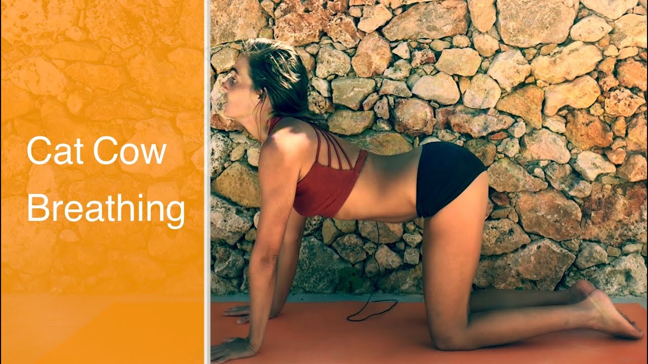 CAT COW BREATHING | Breath & Movement Practice