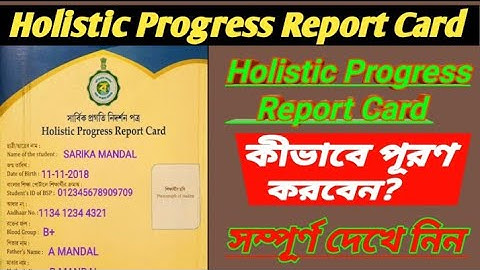 holistic progress report card/holistic progress report card fill up/holistic progress card/holistic