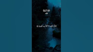 قرآن كريم راحة نفسية 🤍🎧 متابعة للصفحة فضلاً 🥰🤍 #قرآن #قران_كريم