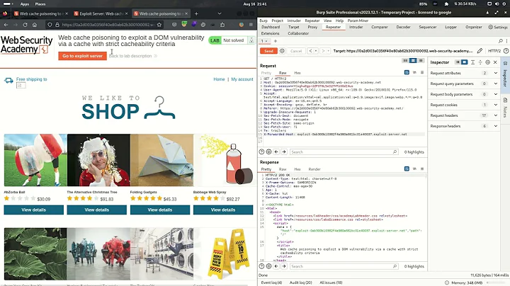 24.10 Lab: Web cache poisoning to exploit a DOM vulnerability via a cache with strict cacheability