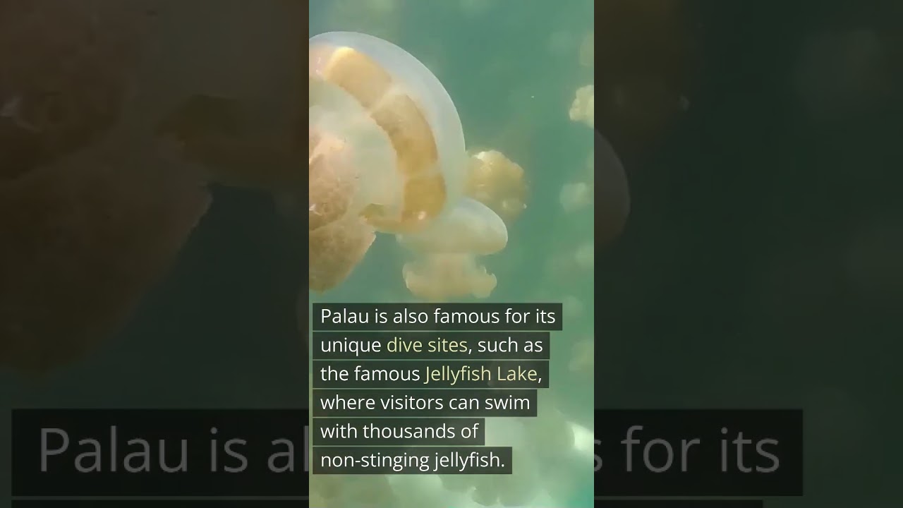 Palau | Interesting Facts