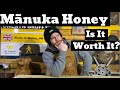 Mānuka Honey, Why Is It So Expensive And Is It Worth It?