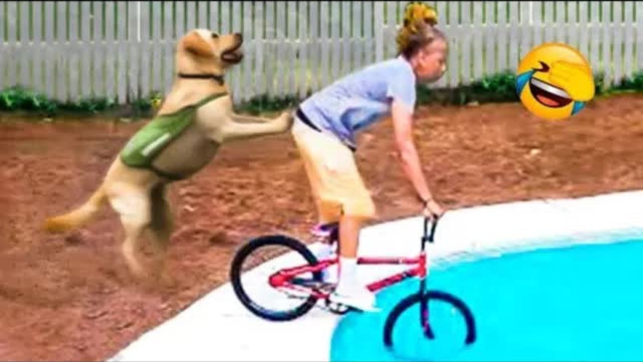 Videos Eight Minutes of Funny Animal Drills: Try Not to Laugh ! Videos Eight Minutes of Funny Animal Drills: Try Not to Laugh !