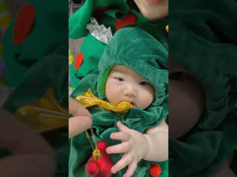우리 집엔 트리만 <strong>세개</strong>🎄🎄🎄