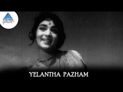 Yelantha Pazham Video Song  Panama Pasama Songs  Gemini Ganesan  Saroja Devi Pyramid Glitz Music