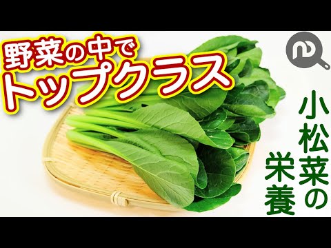 小松菜の栄養効果！栄養素の多さでは野菜の中でトップクラス！ N.D.Kitchen Wellness