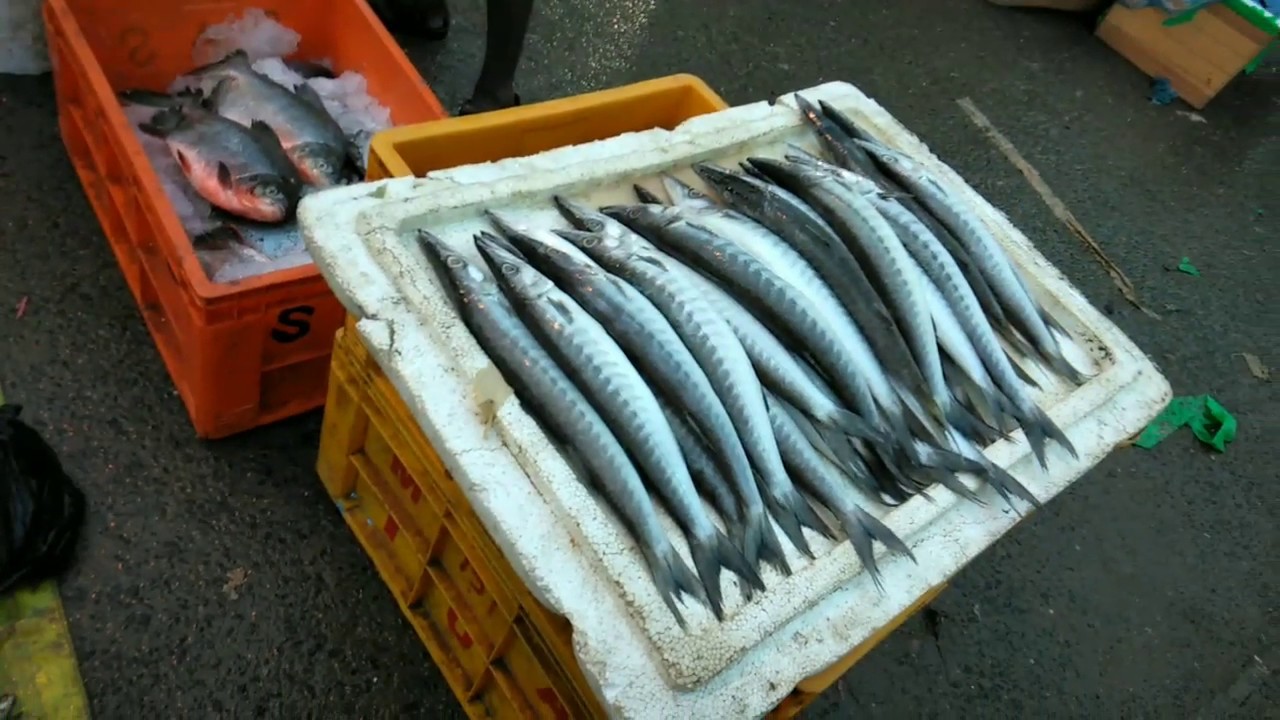 நல்ல மீன்கள் வாங்க சிறந்த இடம்/Trichy Puththur Fish Market/How to Buy