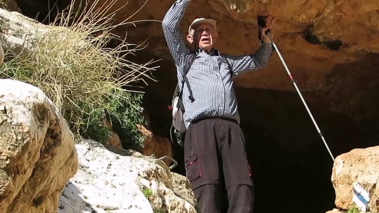 תלכיד פיראן 2017 סרטון