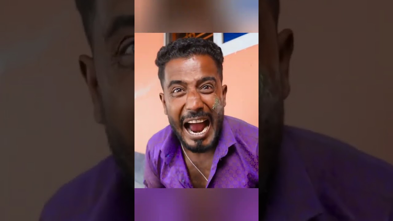 Tui tui funny video 2023 by 