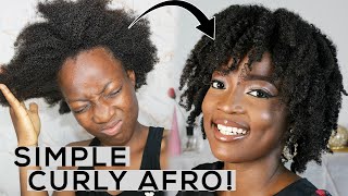 HOW I GET MY CURLY AFRO PERFECTLY ALL THE TIME! SIMPLE CURLY AFRO TUTORIAL