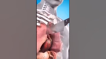 Date sheet #shortsviral #shortvideo #shortsfeed #shorts #short #shortsvideo #shortvideos #account