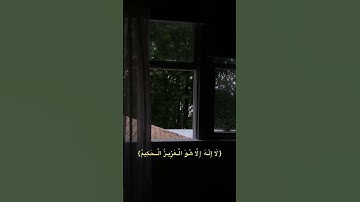 سورة آل عمران(٥-٦) - القارئ عبدالرحمن مسعد🍃.