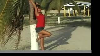 Floresta Amazonia By Tamara Maria