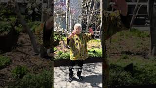 Tai Chi on the High Line with Pin Pin Su Tai Chi on the High Line with Pin Pin Su