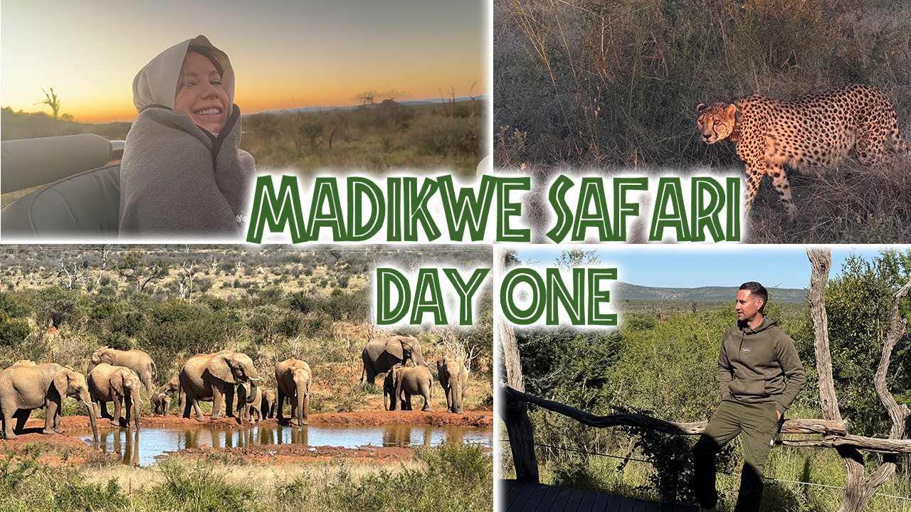 MADIKWE SAFARI LODGE DAY ONE 🇿🇦  |  FIRST FULL SAFARI DAY, BREAKFAST IN THE WILD & MORE !!
