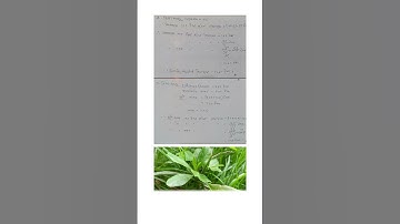 Class 8 Maths Ex 9C Q. 2 & Q. 3 - Axom Jatiya Vidyalaya- AJB