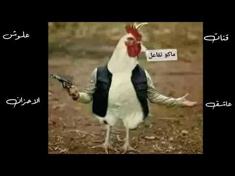عجب بس انا يادنيا اوف اتمنه اموت وخلص