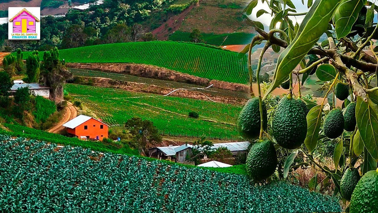 los hermosos paisajes camino a valle nuevo Constanza