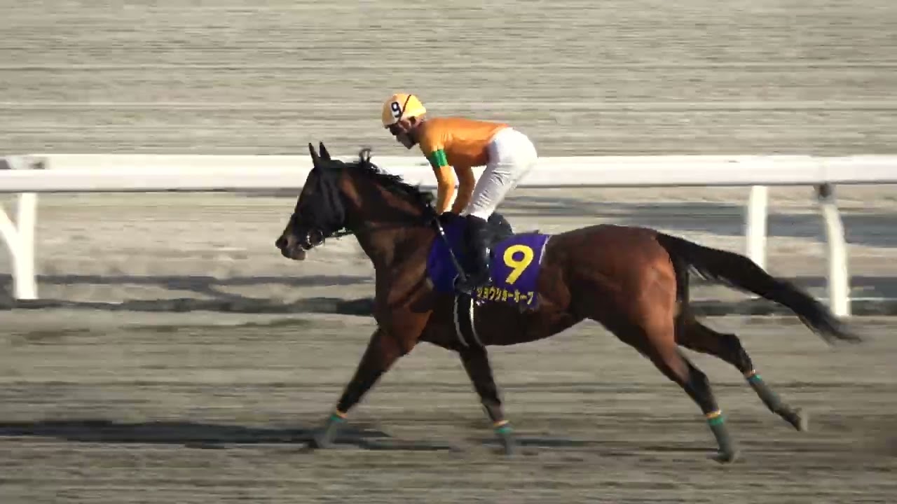Kurofune Prize 2026] Footage from the track entrance of Matenrou