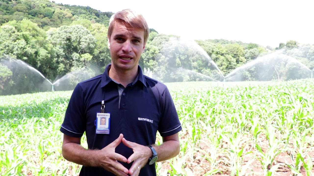 Pró Milho 3 - Sistema de Irrigação na cultura do milho