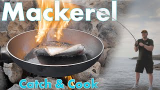 Spinning for Mackerel Catch and Cook from the rocks | Sea fishing UK