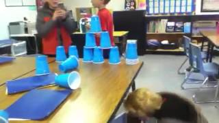 Cup stacking fail!
