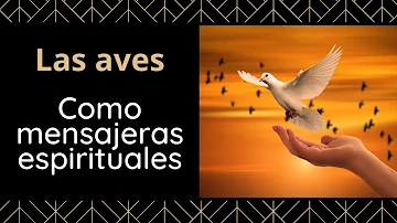 ¿Son los pájaros mensajeros espirituales?