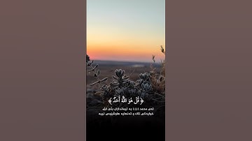 القران الكريم | سورة الاخلاص | للشفاء و الراحة | تلاوة خاشعة