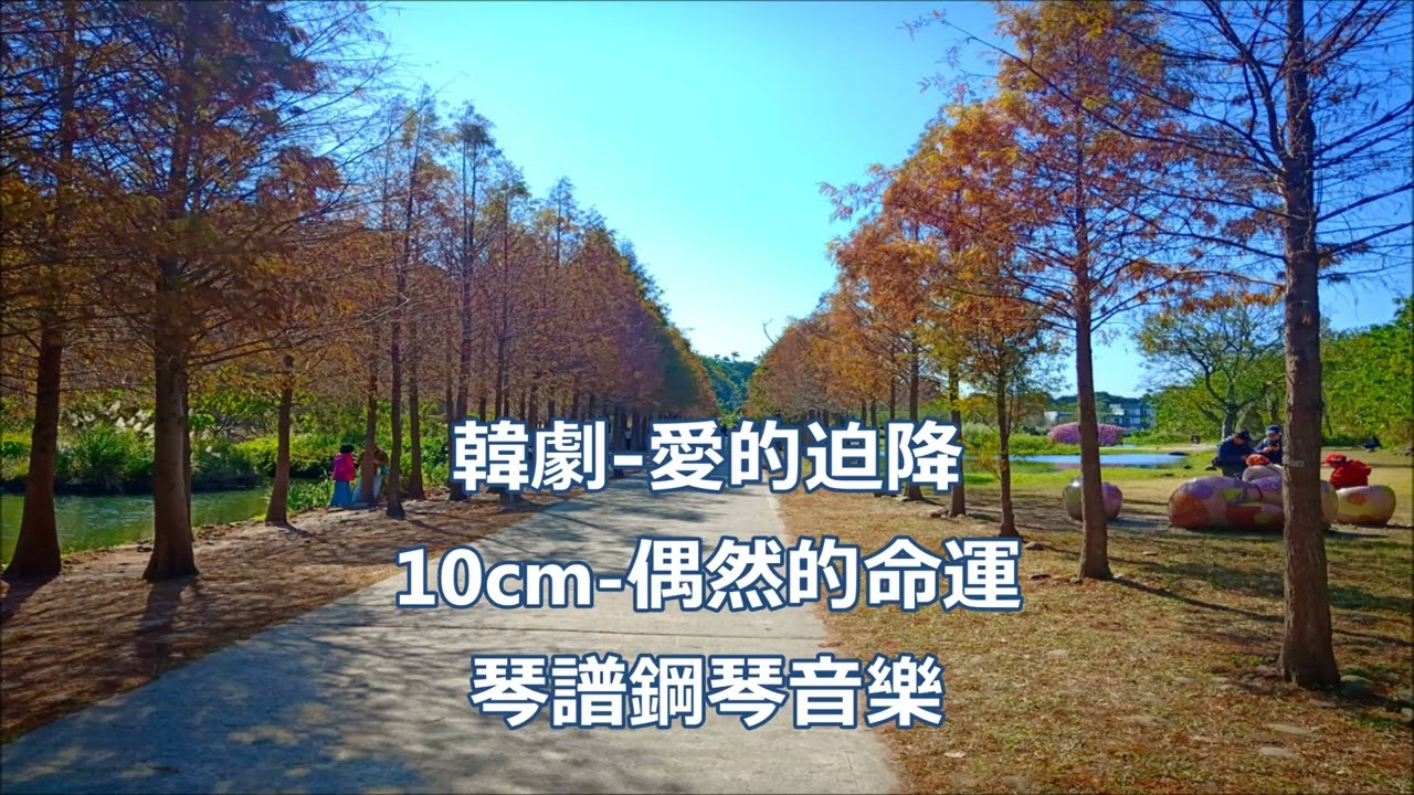 韓劇-愛的迫降-10cm-偶然的命運