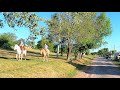 【4K】Paisajes pampeanos en CAPILLA DEL SEÑOR #DRIVING tour virtual [Exaltación de la Cruz] -ARGENTINA