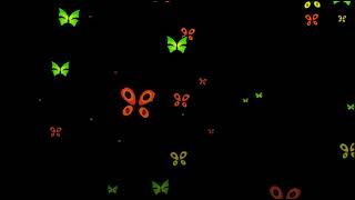 Footage of a butterfly in motion on a green background /Футаж бабочки в движении на черном фоне