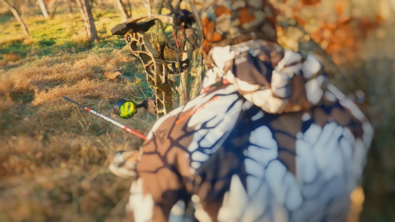 Crazy day of the rut! TONS of grunting and chasing! Wisconsin public land