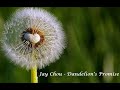 Jay Chou - Dandelion Promise (Lyrics)